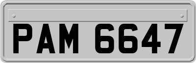PAM6647