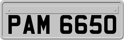 PAM6650