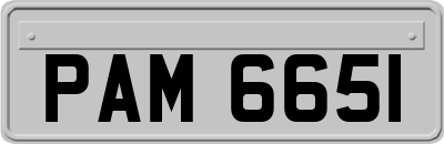PAM6651