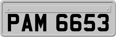 PAM6653
