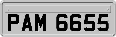 PAM6655