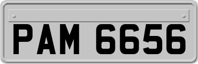 PAM6656