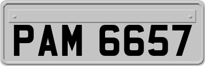 PAM6657