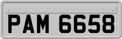 PAM6658