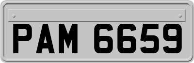 PAM6659