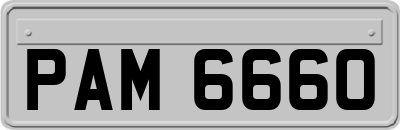 PAM6660