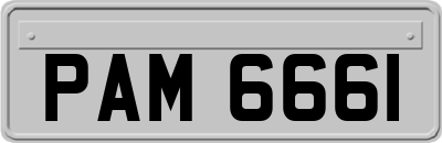PAM6661