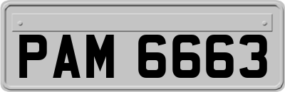 PAM6663