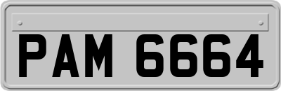 PAM6664