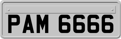 PAM6666