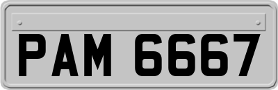 PAM6667
