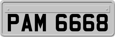 PAM6668