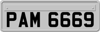 PAM6669
