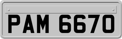 PAM6670