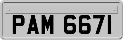 PAM6671