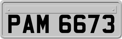 PAM6673