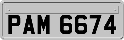 PAM6674