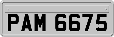 PAM6675