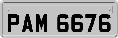 PAM6676