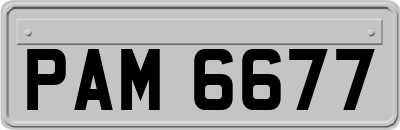 PAM6677