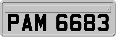 PAM6683