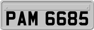 PAM6685