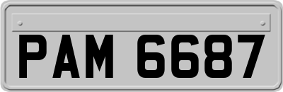 PAM6687