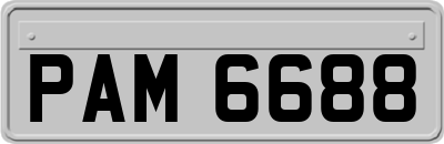PAM6688