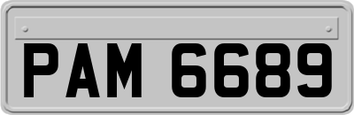 PAM6689