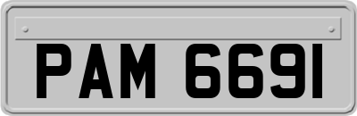 PAM6691