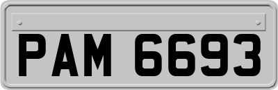 PAM6693