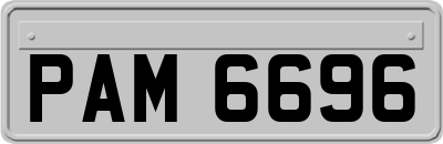PAM6696