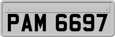 PAM6697