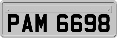 PAM6698