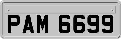 PAM6699