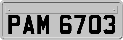 PAM6703