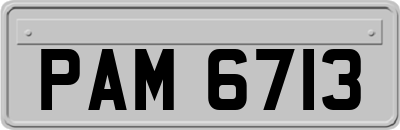 PAM6713