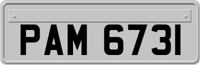 PAM6731