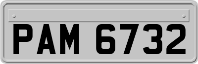 PAM6732