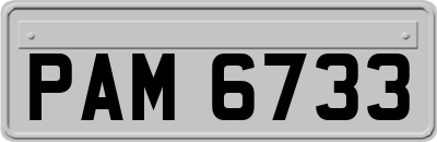 PAM6733