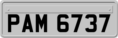 PAM6737
