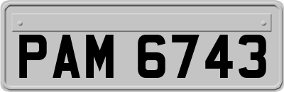 PAM6743