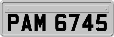 PAM6745