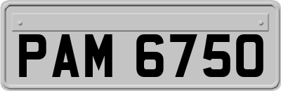 PAM6750