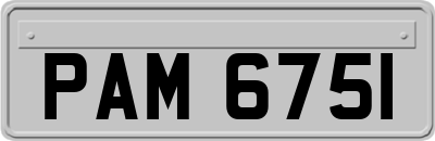 PAM6751
