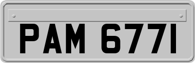 PAM6771