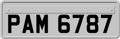 PAM6787
