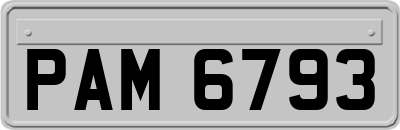 PAM6793