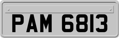 PAM6813