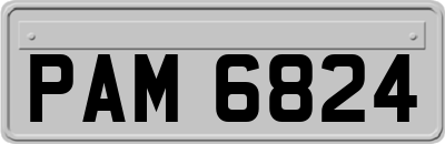 PAM6824